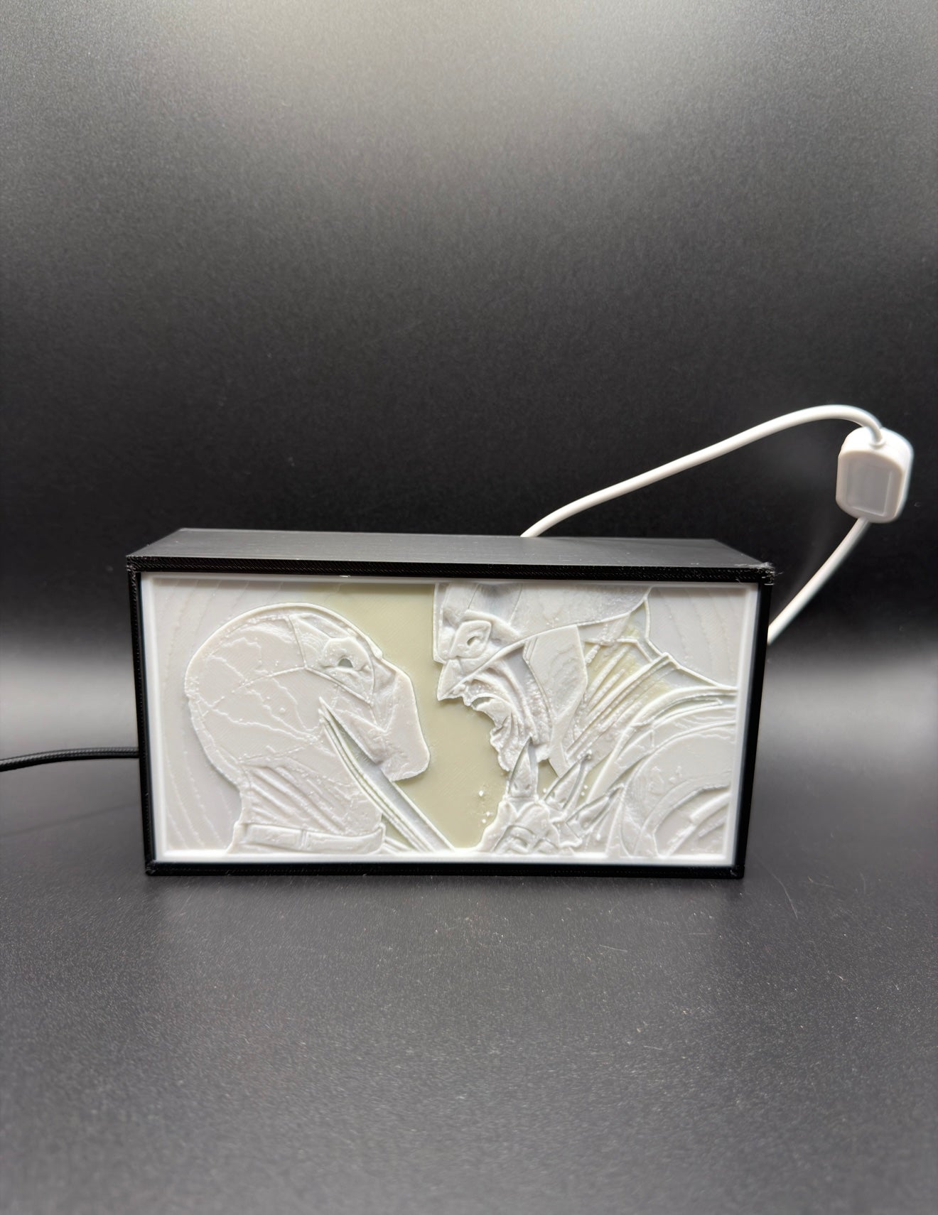 Dead Pool x Wolverine Lightbox