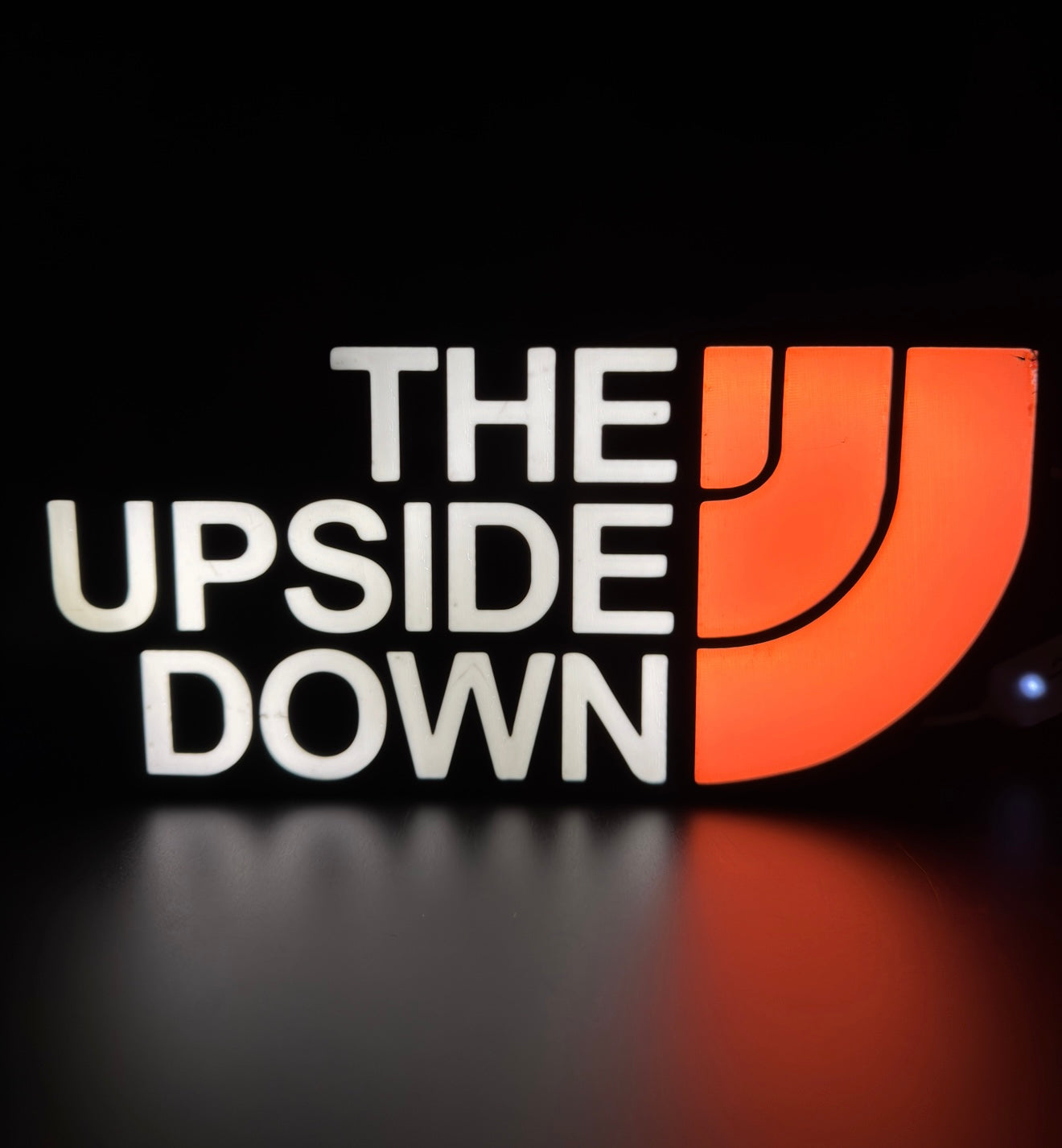 The Upside Down x The North Face Lightbox