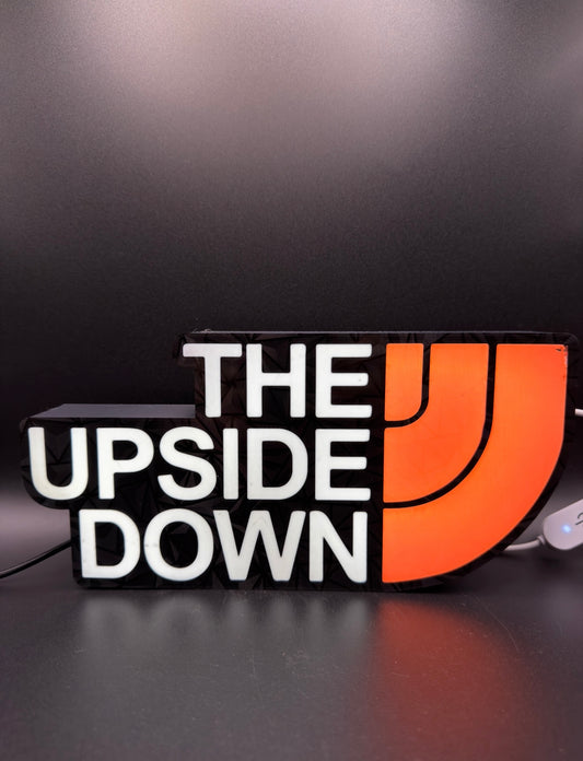 The Upside Down x The North Face Lightbox