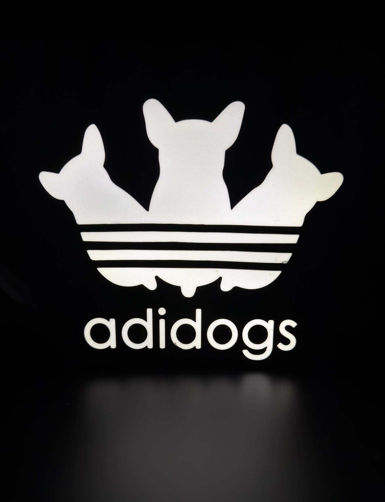 Adidogs x Adidas Lightbox